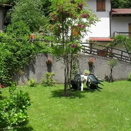 Il Bosco Incantato