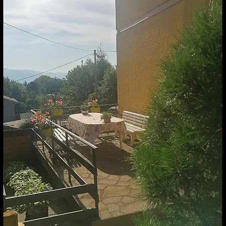 Il Bosco Incantato