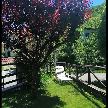 Il Bosco Incantato * Abetone