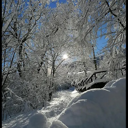 Il Bosco Incantato * Abetone