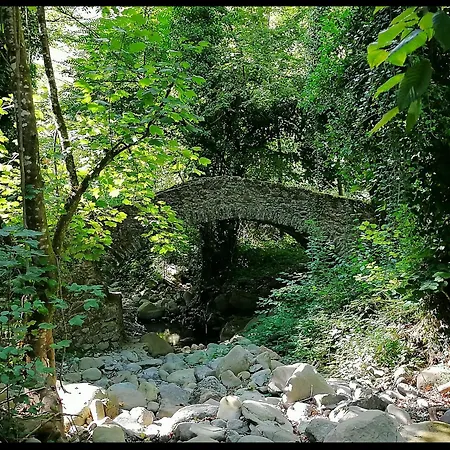 Il Bosco Incantato *