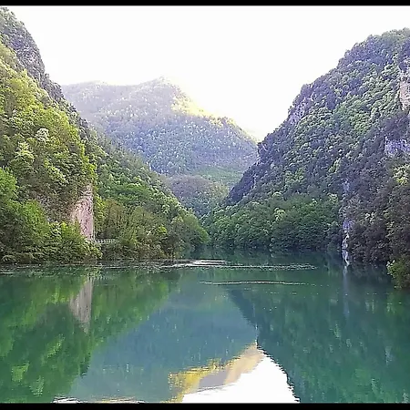 Il Bosco Incantato